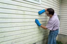 Affordable Siding Repair and Maintenance Services in Ladera Heights, CA